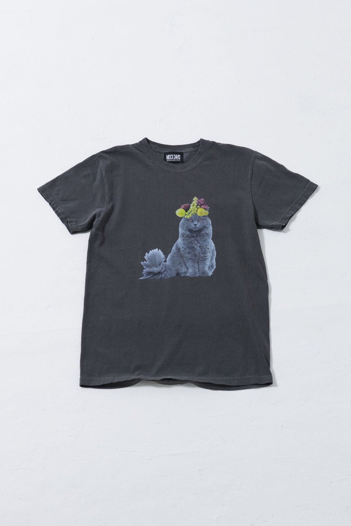 fruits cat Tシャツ