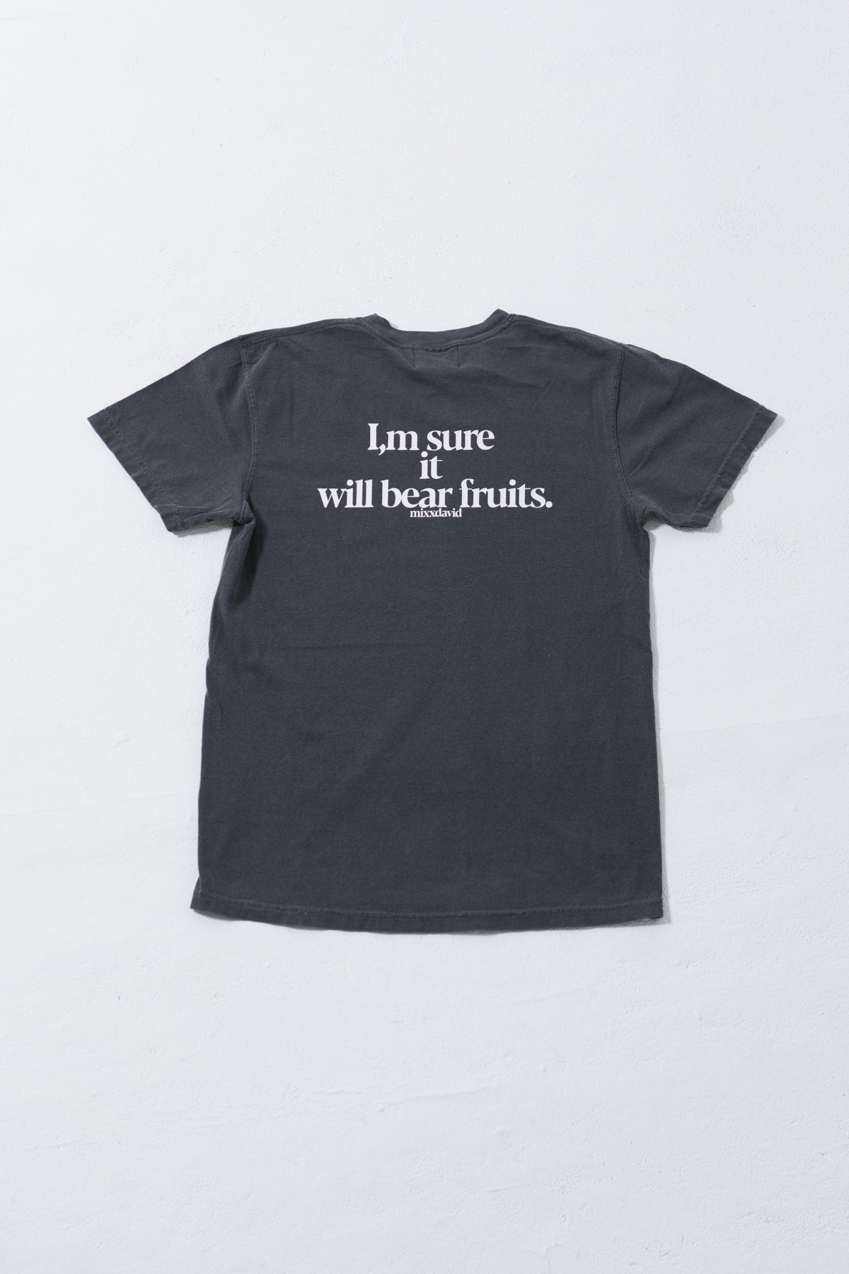 fruits cat Tシャツ