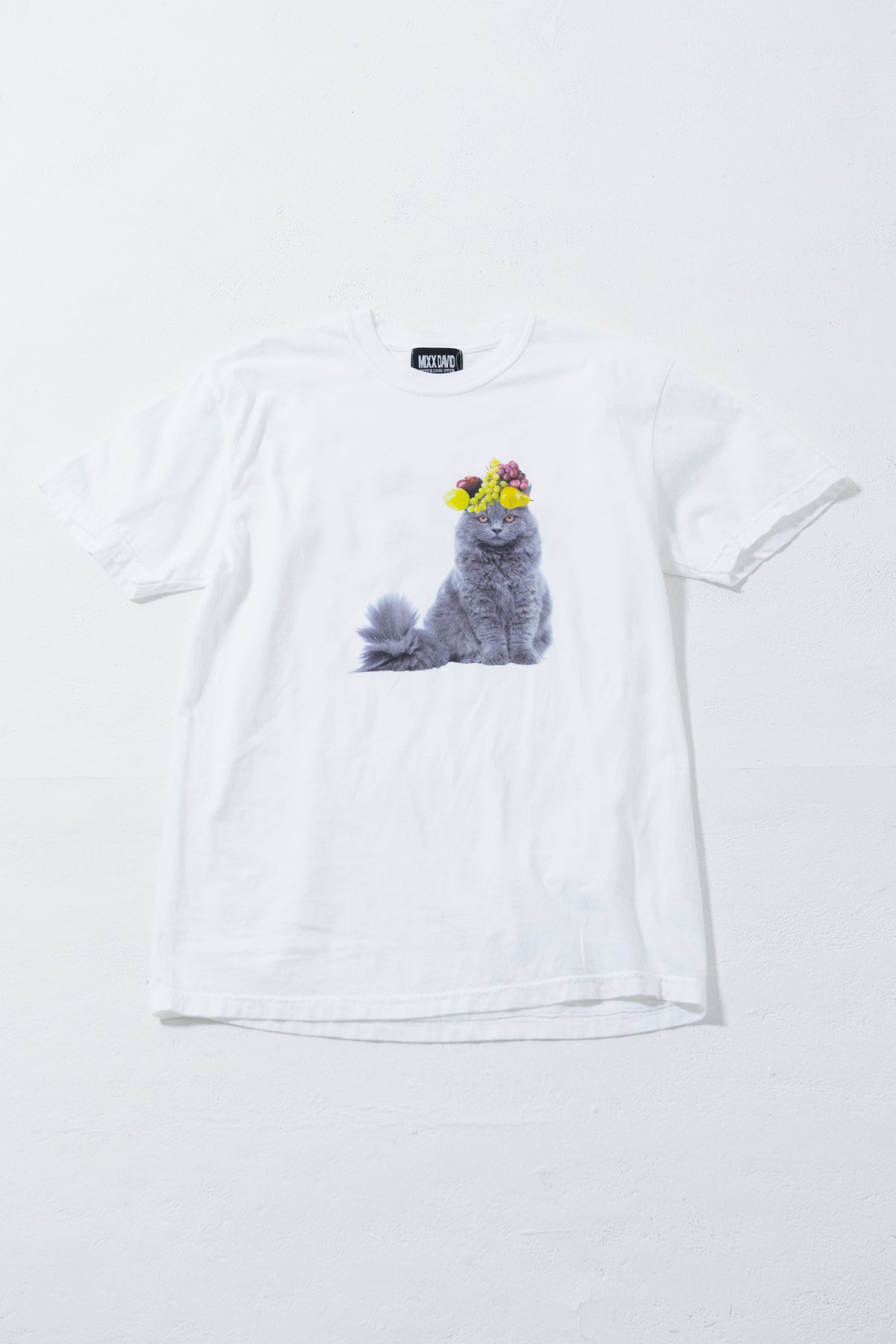 fruits cat Tシャツ