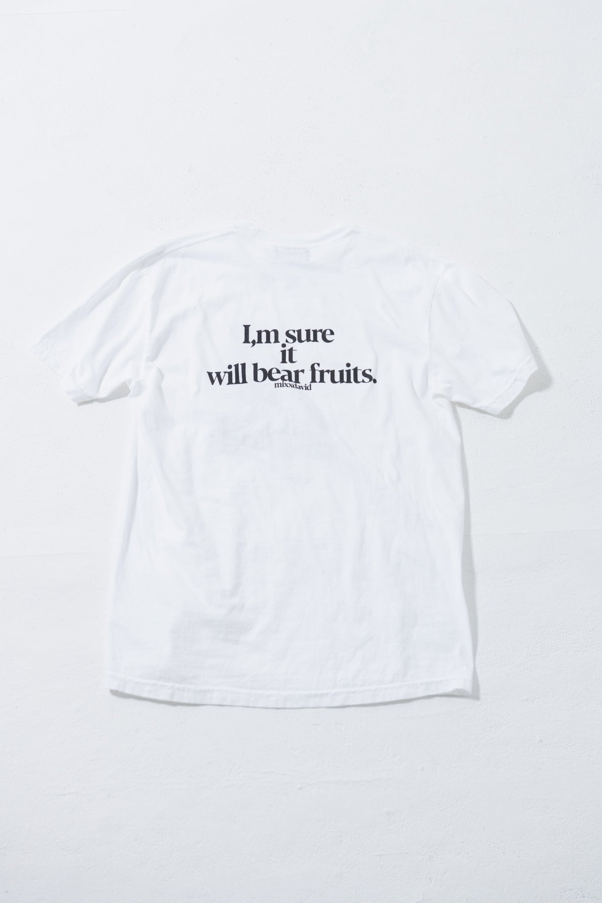 fruits cat Tシャツ